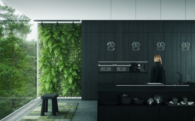 black kitchen with plants