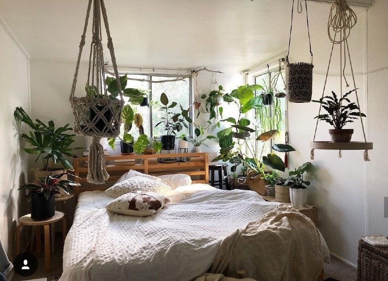 bright bedroom with plants