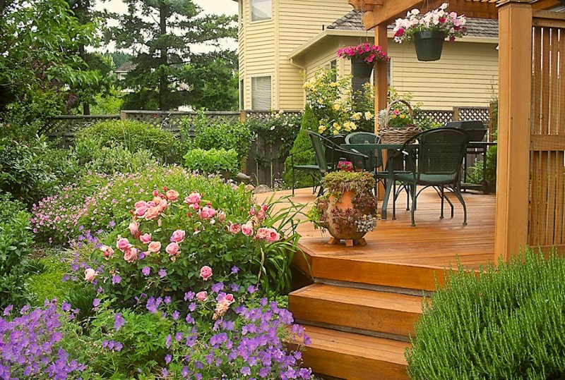 back deck with plants