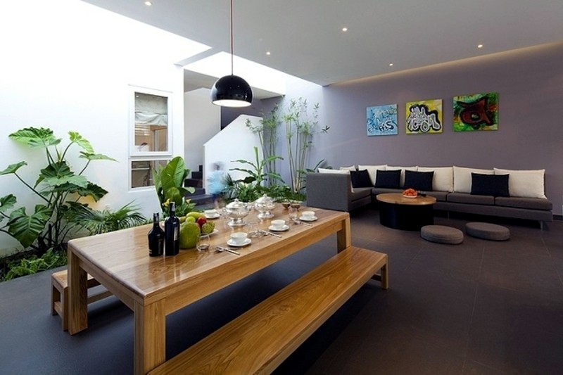 minimalist house with plants