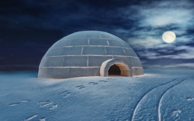 igloo dome house