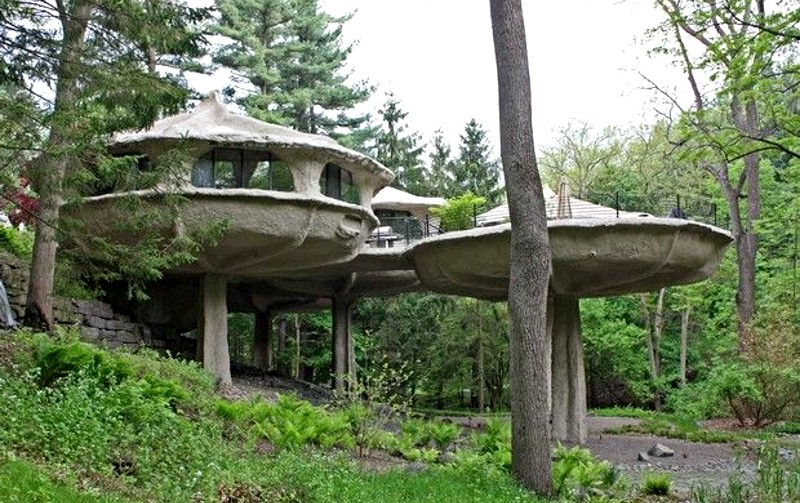 mushroom house in NY