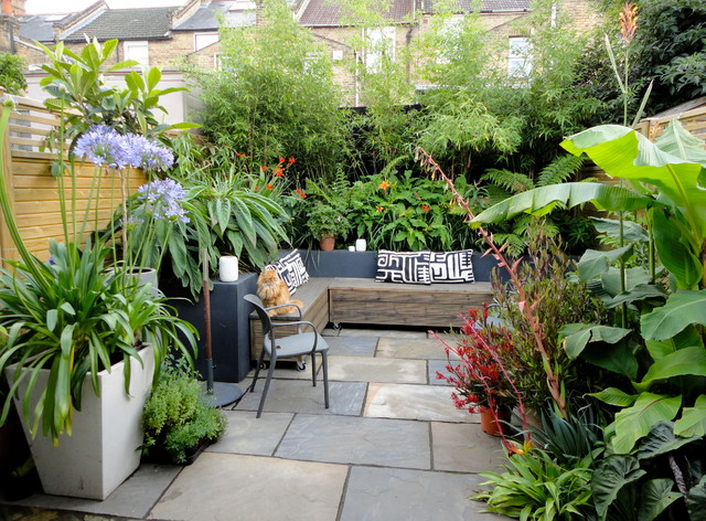 small courtyard with plants