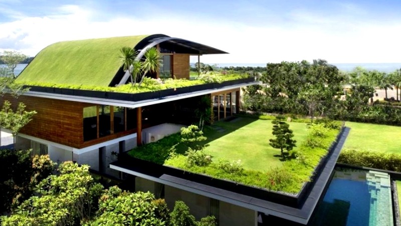 green roof eco home