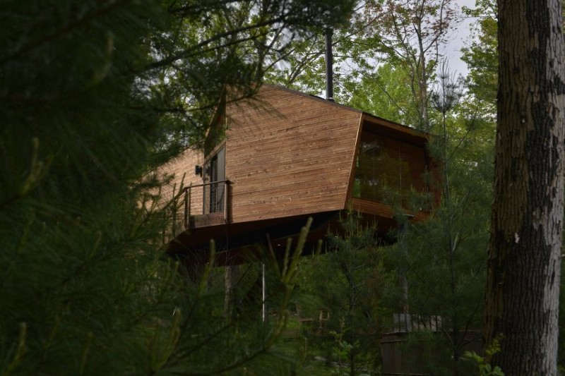 Tree House Design Ideas Anthony Gibbon