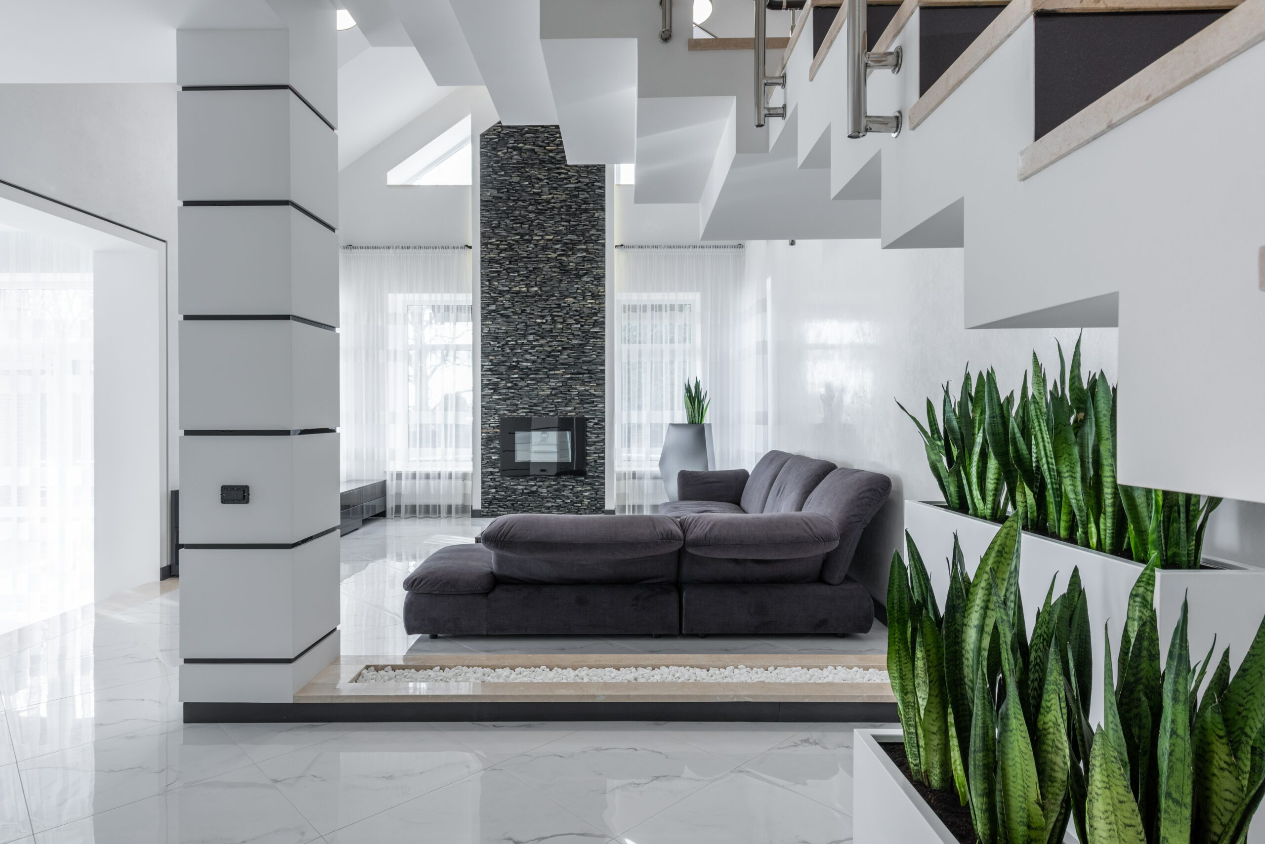 modern living room with snake plants