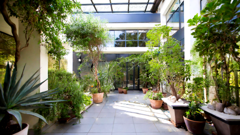 modern indoor courtyard